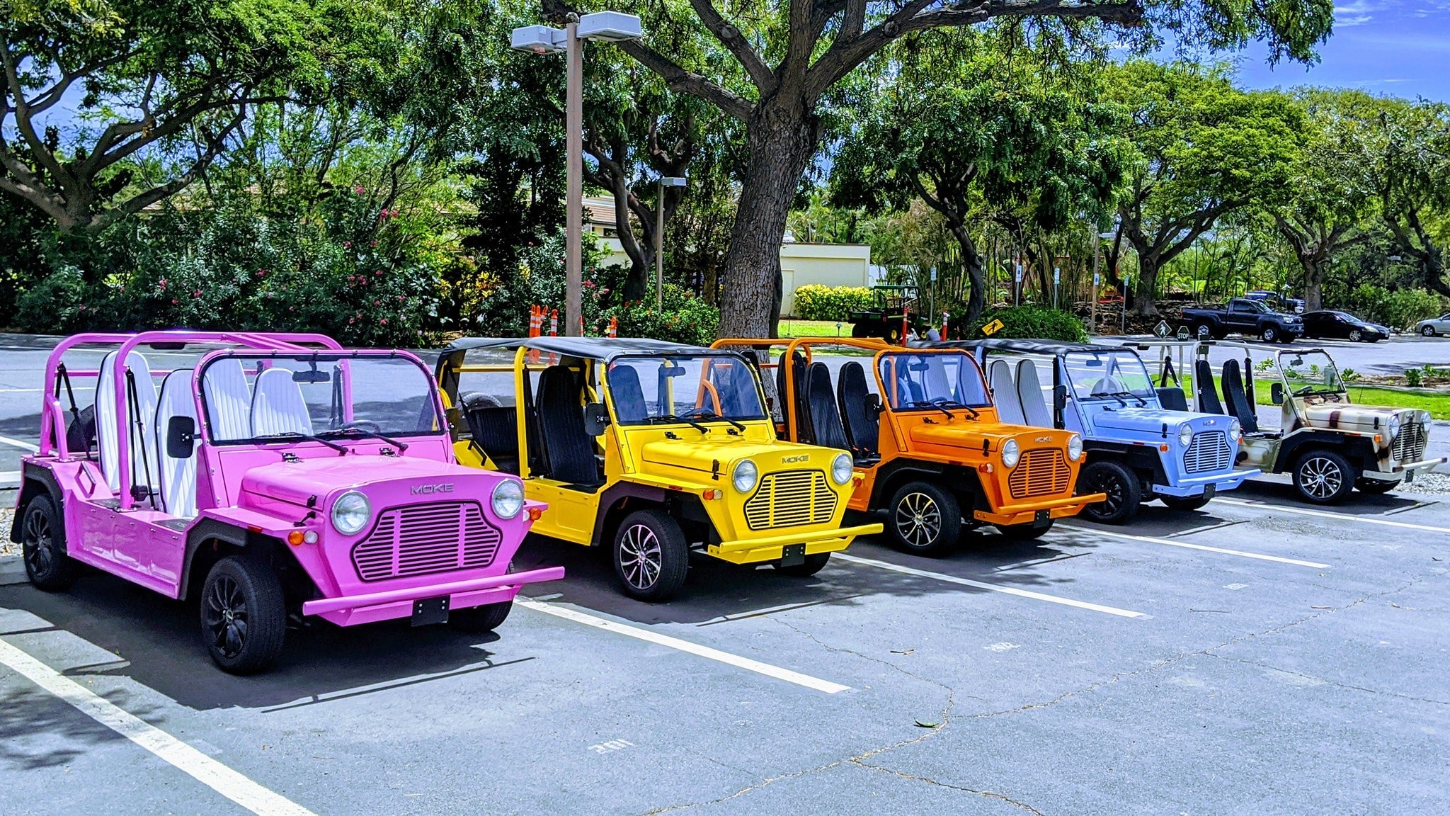 Pink flamingo Moke beach buggy parked near the turquoise ocean