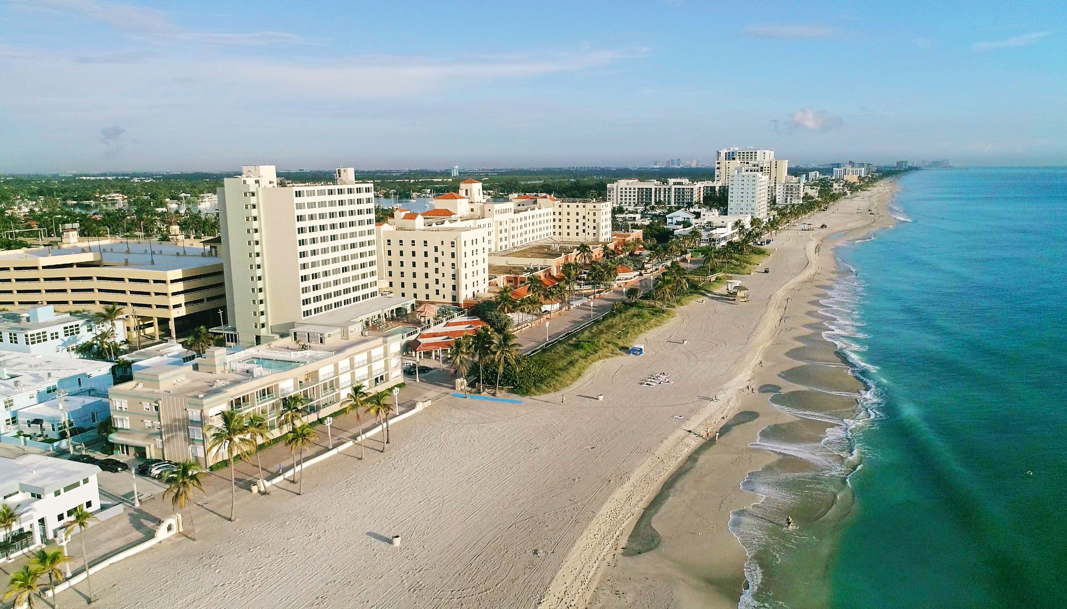 Hollywood Beach boardwalk with palm trees and ocean — the perfect Moke backdrop